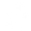 Dog Paws - Dogs