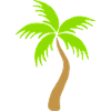 Palmier vert île mer