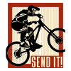 Mountain bike Send it