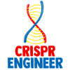 Crispr Engineer Gift