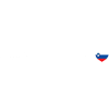 Heartbeat Slovenia flag