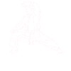 Shotokan sensei - karate teacher