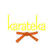 Le meilleur karateka