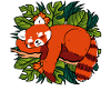 Cat Bear Little Panda