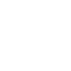 Sport slamball