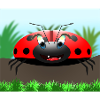 Ladybird