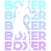 Boxer Boxes Retro Gift