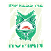 Gecke Lizard Reptile Lizard Lizard