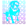 Bulldog Retro Cadeau