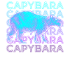 Capybara Retro Cadeau