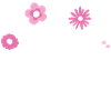 Pro Roe