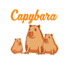 Capybara Gift Capybara Capibara