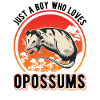 Opossum Junge Possum Beutelratte