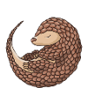 Pangolin Mom Pangolin