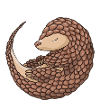 Pangolin fou Maman Pangolin