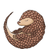 Pangolin Dad Pangolin