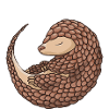 Pangolin fou Papa Pangolin