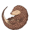 Pangolin fou Lady Pangolin