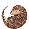 Crazy Pangolin Mom Pangolin