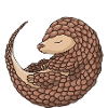 J’aime vraiment pangolins pangolin