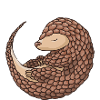 Pangolin Whisperer Pangolin