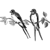 Vögel