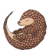 Daddy Pangolin
