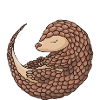 Papa Pangolin