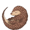 Uncle Pangolin