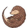 Pangolin Fille