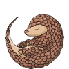 Pangolin Boy
