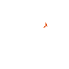 Macareux moine d’Islande