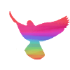 tauben,taube,vögel,regenbogen,bunt,graffiti,