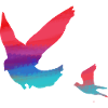vögel,bunt,aquarell,tauben,fliegen