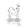 drunken donkey