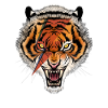 Tiger Thunderbold Illustration