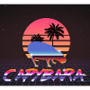 Capybara Retrowave