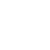 Evolution Koch