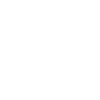 Evolution Kranführer