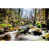 river