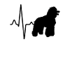 Poodle Heartbeat