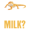 Bearded dragon likes milk