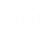 Poodle Heartbeat