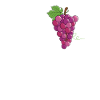 Love Red Grapes