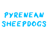 Pyrenean Sheepdog
