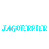 Jagdterrier