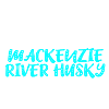 Husky du fleuve Mackenzie