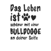Bulldogge Hund Hundehalter