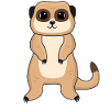 Meerkat Lover Gift Funny Animals