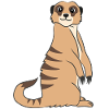 Meerkat Lover Gift Funny Animals